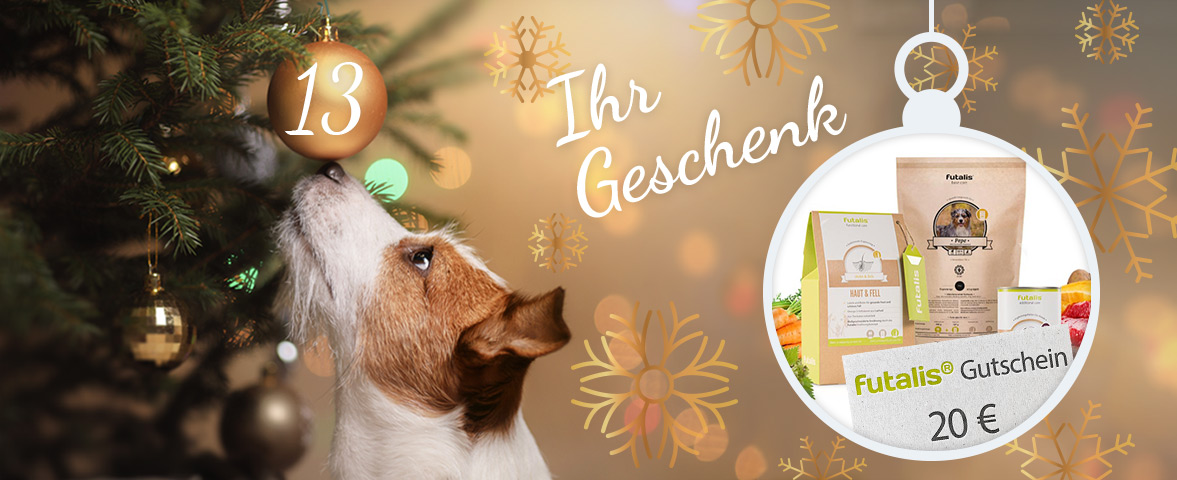 Adventskalender - Türchen