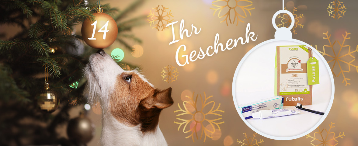 Adventskalender - Türchen
