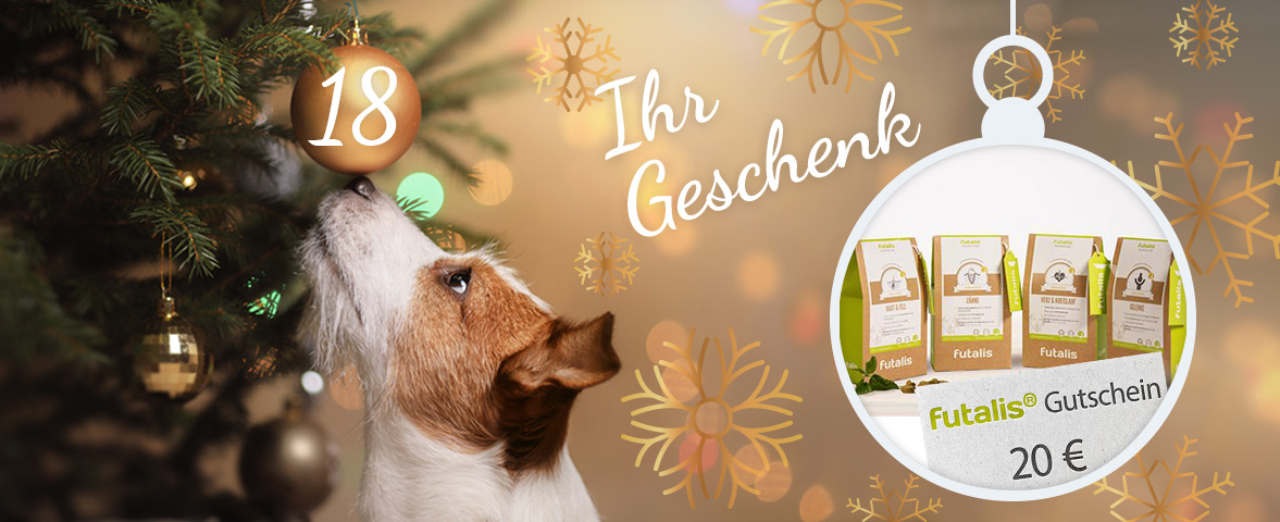 Adventskalender - Türchen
