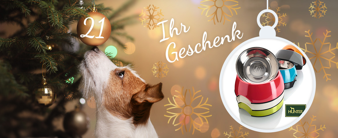 Adventskalender - Türchen