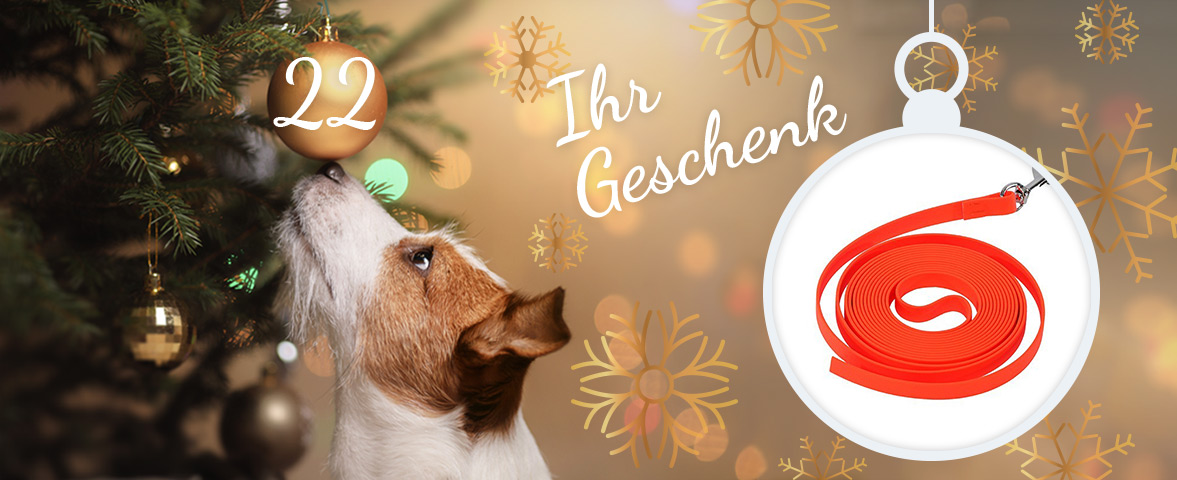 Adventskalender - Türchen