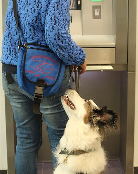 Assistenzhund gibt Sicherheit Assistenzhund gibt Sicherheit