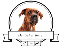 Hundefutter für Deutsche Boxer Deutscher Boxer Futter für rassespezifische Krankheiten