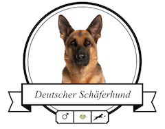 Hundefutter Deutscher Schäferhund Deutscher Schäferhund Futter für rassespezifische Krankheiten