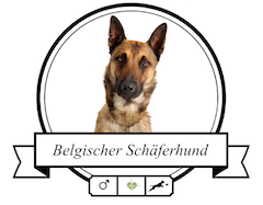 Hundefutter Belgischer Schäferhund Belgischer Schäferhund Futter für rassespezifische Krankheiten