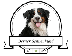 Hundefutter Berner Sennenhund Berner Sennenhund Futter für rassespezifische Krankheiten