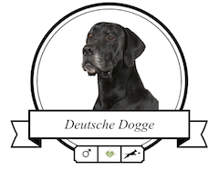 Deutsche Dogge Krankheiten rassetypisch » futalis.de