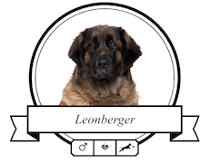 Hundefutter Leonberger Leonberger Futter für rassespezifische Krankheiten