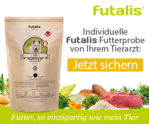 futalis Banner Medium Rectangle