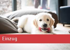 Einzug Welpenfibel