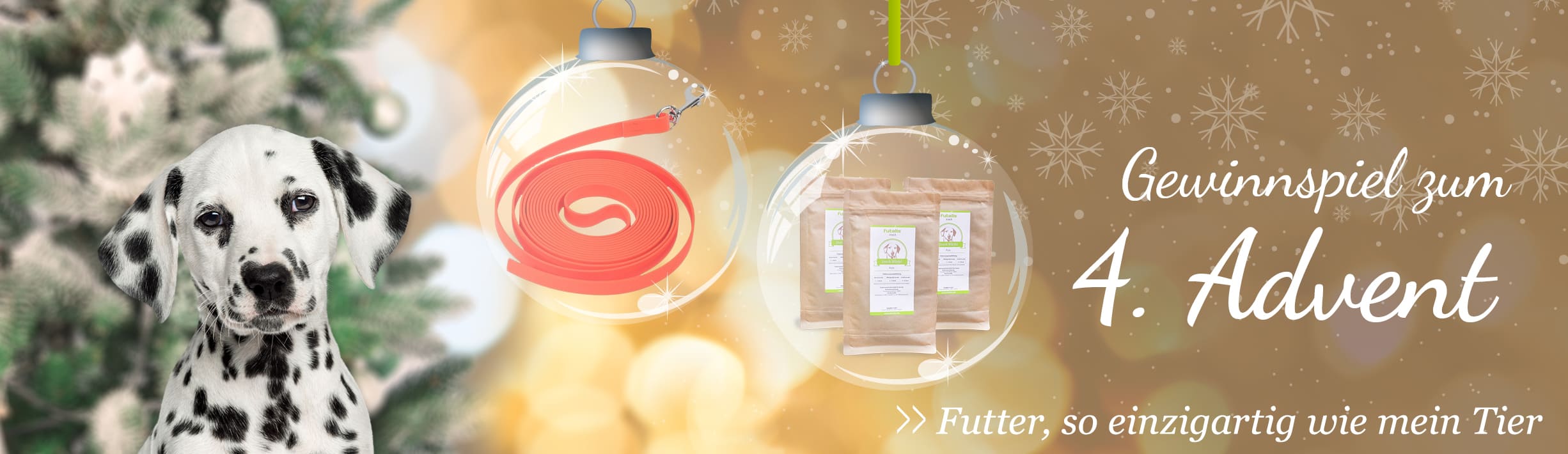 Adventsgewinnspiel Hund