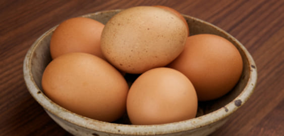 Eier im Hundefutter Eier im Hundefutter