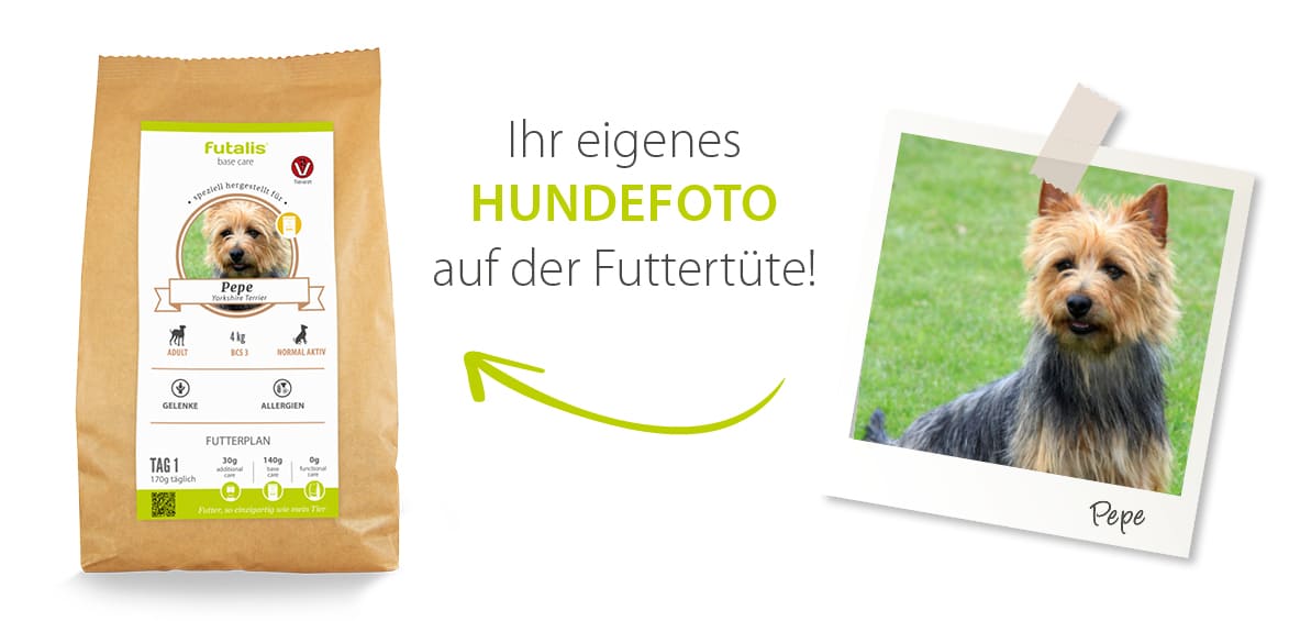 Hundefutter mit eigenem Hundefoto Hundefutter mit eigenem Hundefoto