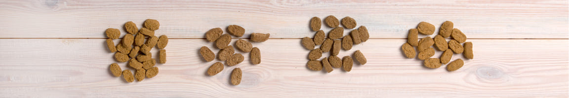 Futterherstellung bei futalis futalis Herstellung