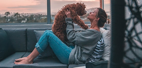 Doodle mit Besitzern Doodle mit Besitzern