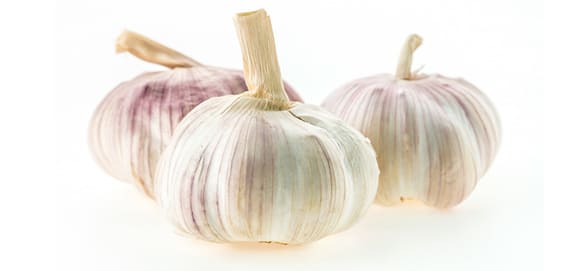 Knoblauch für Hunde Knoblauch für Hunde