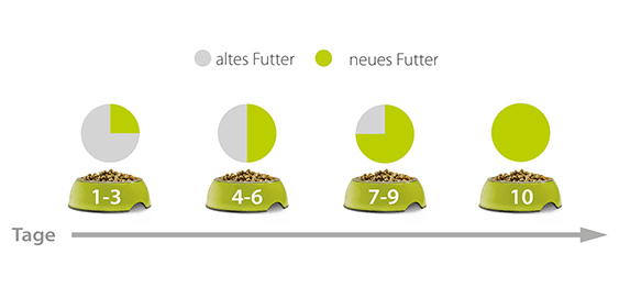 Futterumstellung Hund Grafik Futterumstellung Hund Grafik
