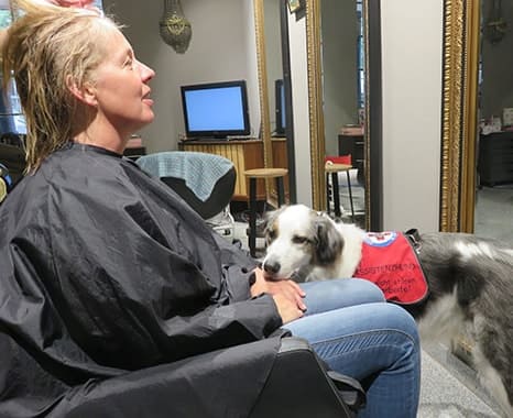 Assistenzhund Matze beim Friseur