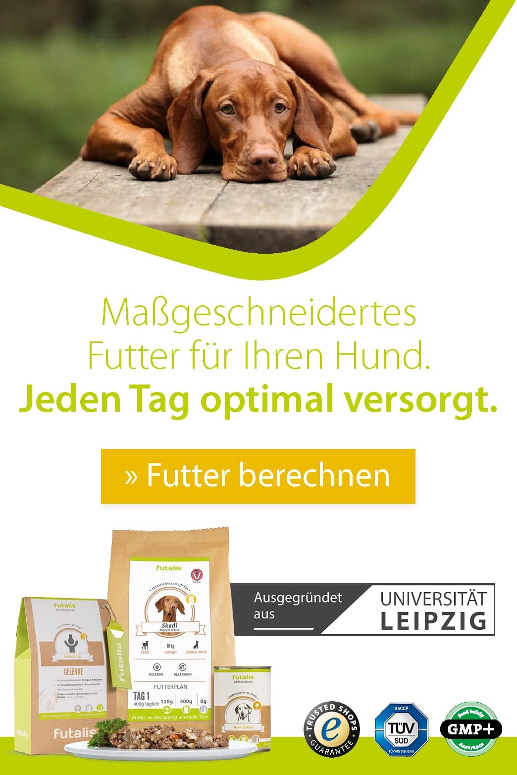 Harnsteine beim Hund - Struvitsteine, Uratsteine » futalis.de