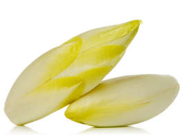 Inulin in Hundefutter