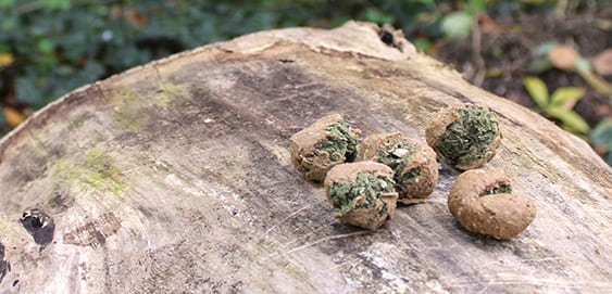 Snack Kräutergarten