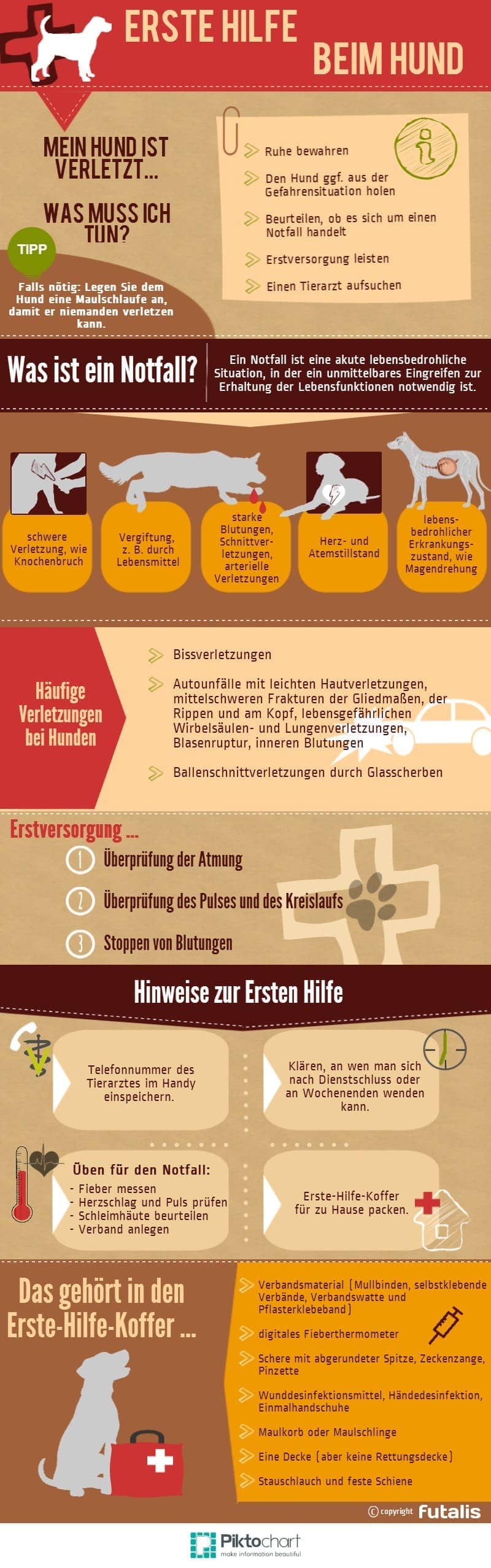 Erste Hilfe beim Hund