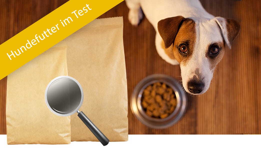 Hundefutter Im Test: Welches Futter Ist Das Beste?