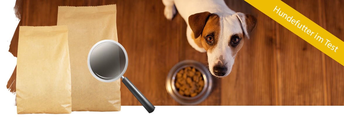 Hundefutter im Test: Welches Futter ist das Beste? - HeaDerbilD HunDefutter Test