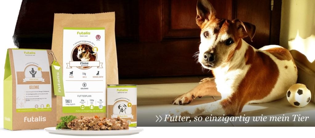 Wie alt werden Hunde?