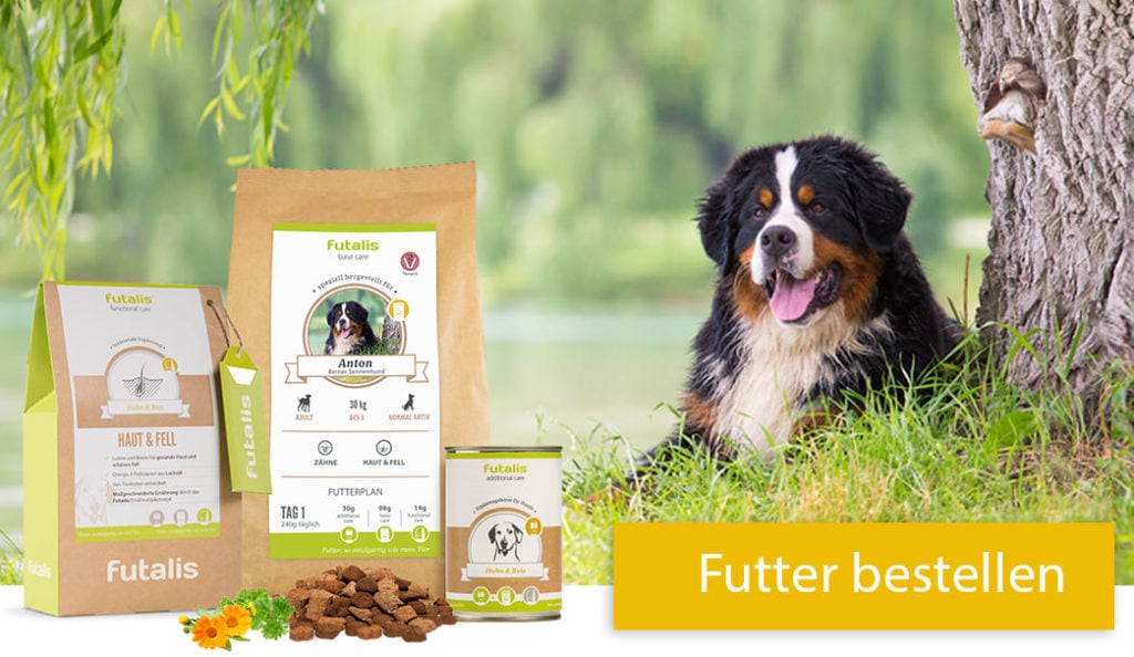 Berner Sennenhund Futter Zusammenstellen Futalis De