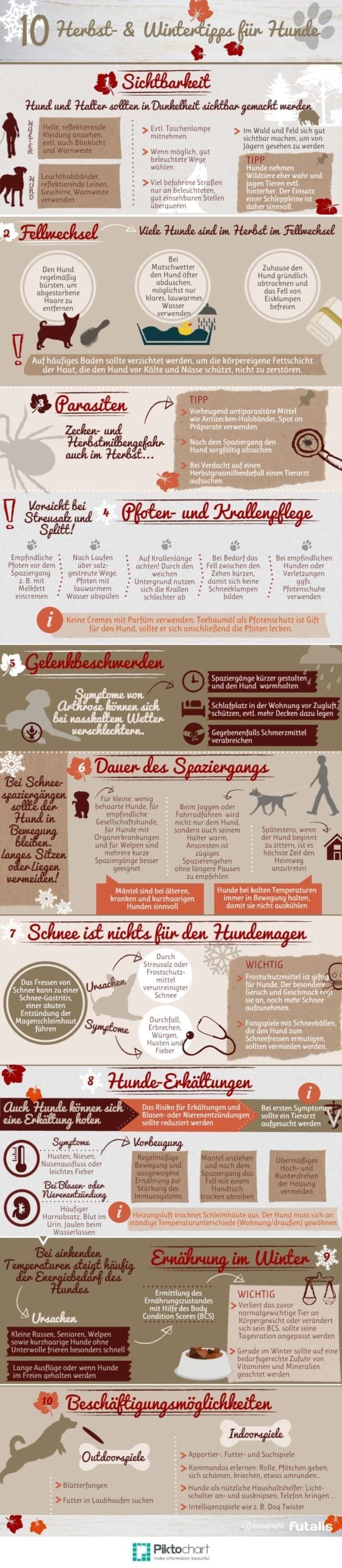 Herbst und Winter Tipps für Hunde