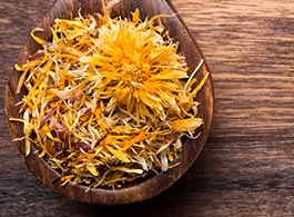 Rohstoffe im Hundefutter - Lutein