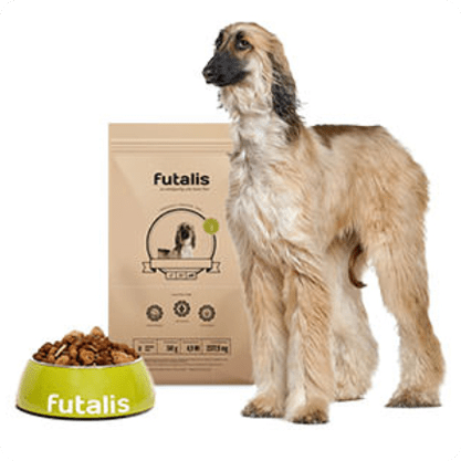 Afghanischer Windhund Futter
