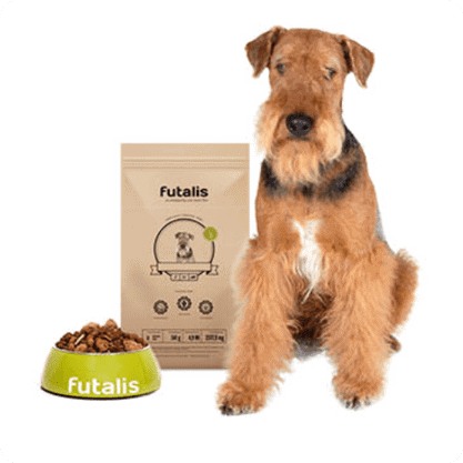 Airedale Terrier
