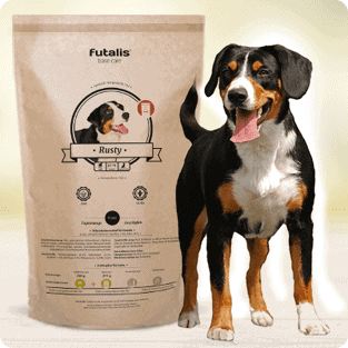 Appenzeller Sennenhund