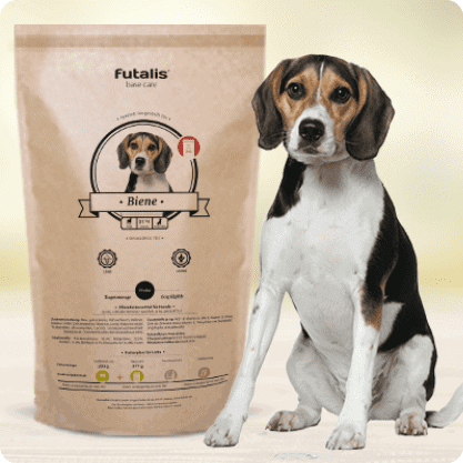 Beagle Futter