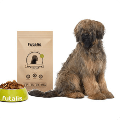 Briard