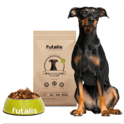 Deutscher Pinscher Futter