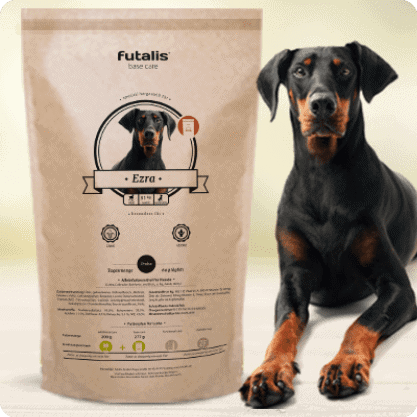 Dobermann