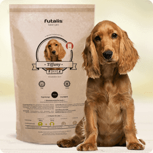 English Cocker Spaniel Hundefutter