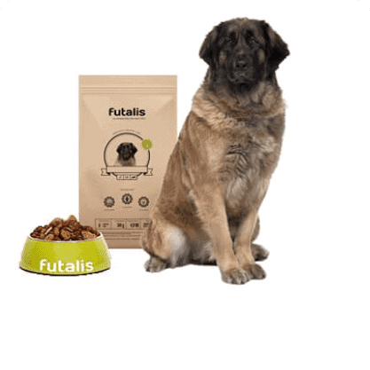 Leonberger