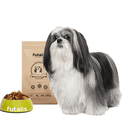 Lhasa Apso