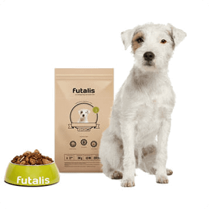 Parson Jack Russel Terrier Futter