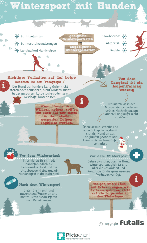Wintersport mit Hunden