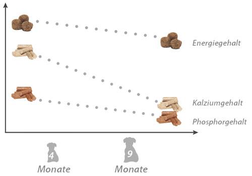 Mineralstoffe