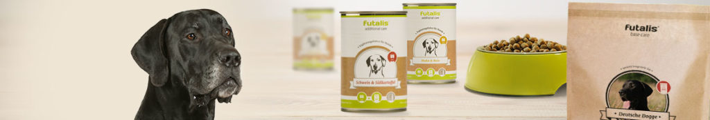 Deutsche Dogge Krankheiten