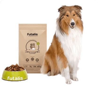 Rassefutter langhaar Collie