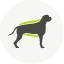 Bedarfsanpassung Kriterien für optimales Hundefutter: Ernährungszustand