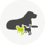 Bedarfsanpassung Kriterien für optimales Hundefutter: Zuchtnutzung