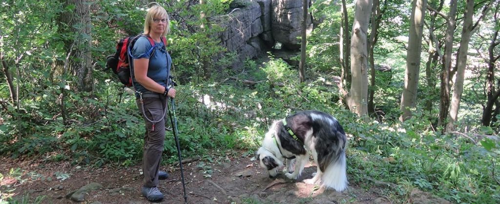 Wandern mit PTBS Assistenzhund Matze